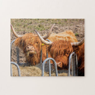 Scottish Highland cow Jigsaw Puzzle