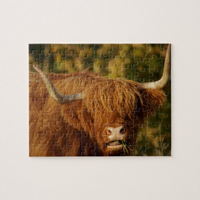 Scottish Highland Cow Jigsaw Puzzle (Horizontal)