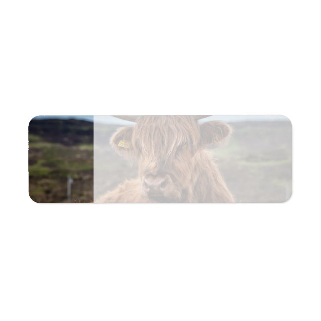 Scottish Highland Cow Longhorn Bull Rancher (Front)
