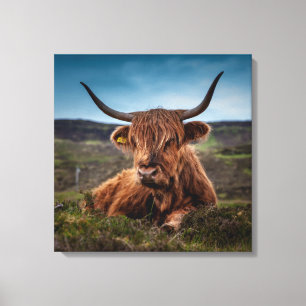 Scottish Highland Cow Longhorn Bull Rancher Canvas Print