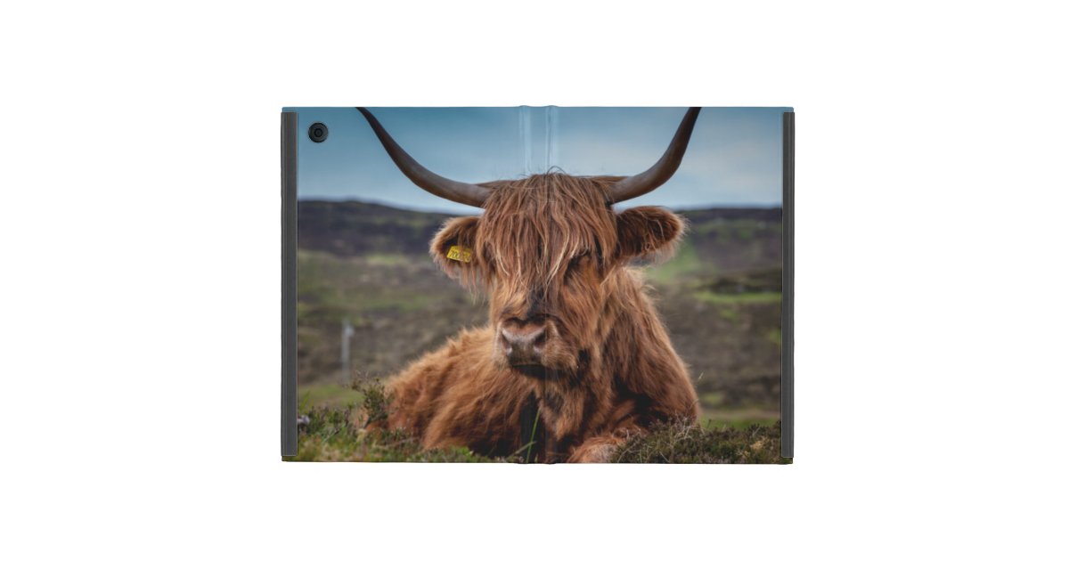 Scottish Highland Cow Longhorn Bull Rancher Cover For Ipad Mini Zazzle Co Uk
