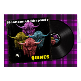 Scottish Highland Cow. Moohemian Rhapsody