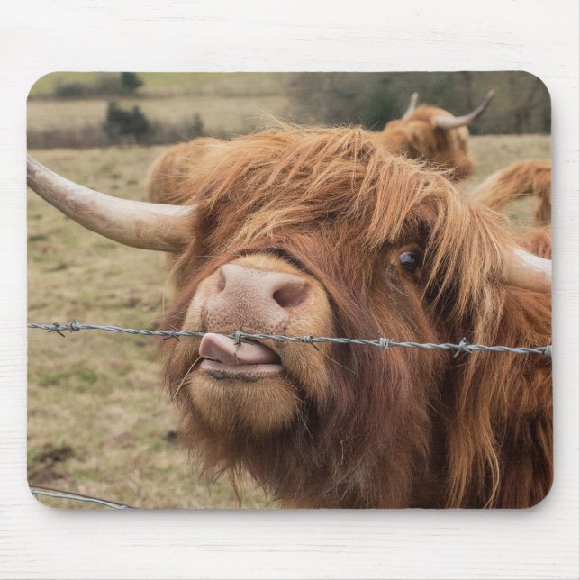 Scottish Highland cow Mouse Mat (Front)