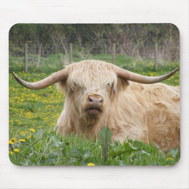 Scottish Highland Cow Mouse Mat (Front)