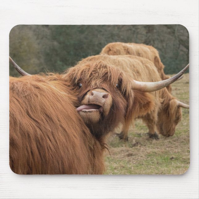 Scottish Highland cow Mouse Mat (Front)