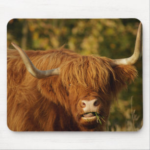 Scottish Highland Cow Mouse Mat