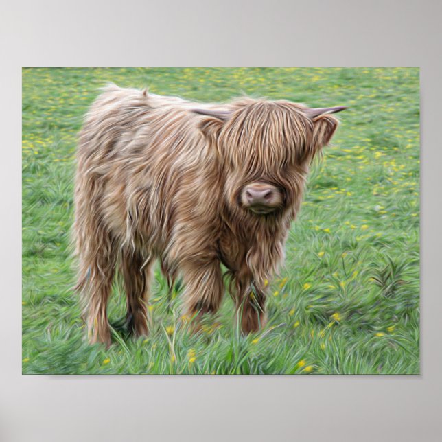 Scottish Highland cow photograph poster (Front)