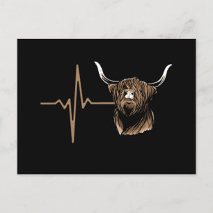 Scottish Highland Cow Postcard