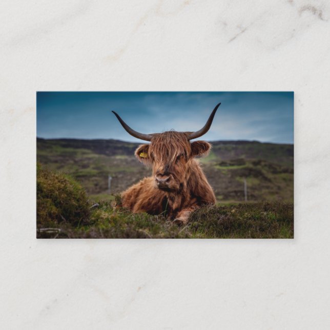 Scottish Highland Cow Rancher Business Cards (Front)