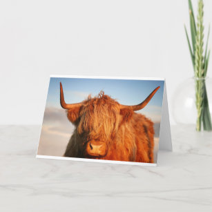 Scottish Highland Cow - Scotland Card