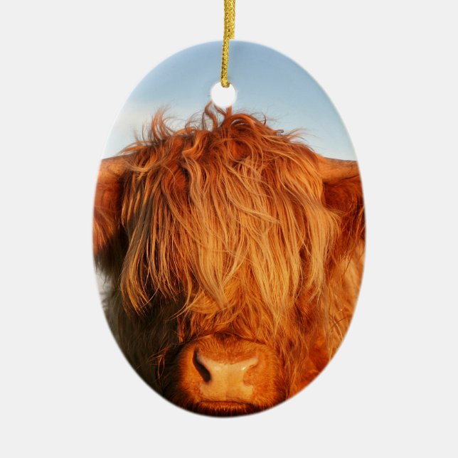 Scottish Highland Cow - Scotland Ceramic Tree Decoration (Front)