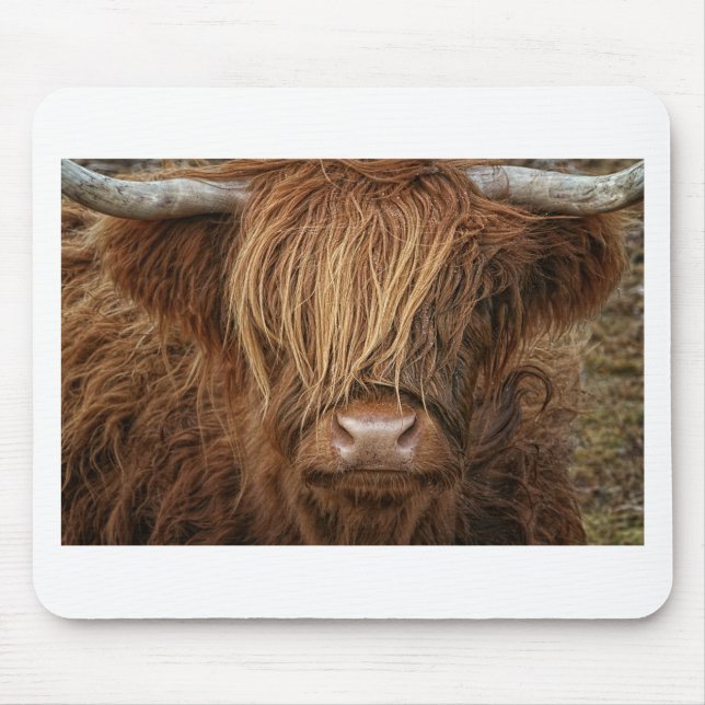 Scottish Highland Cow - Scotland Mouse Mat (Front)