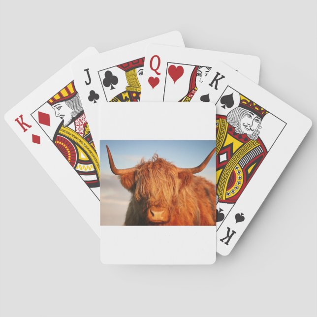 Scottish Highland Cow - Scotland Playing Cards (Back)