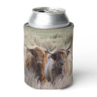 Scottish Highland Cows