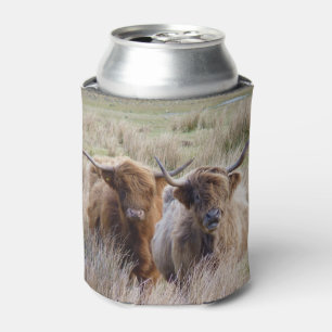 Scottish Highland Cows Can Cooler