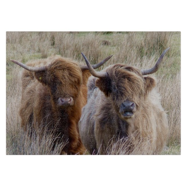 Scottish Highland Cows Cutting Board (Front)