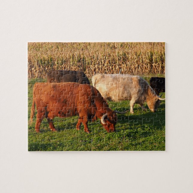 Scottish Highland Cows in a pasture Jigsaw Puzzle (Horizontal)