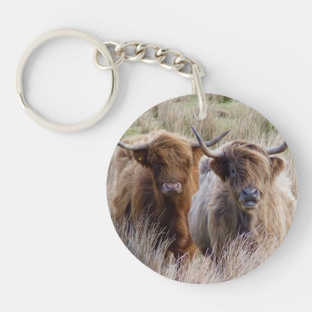 Scottish Highland Cows in the grass Key Ring (Front)
