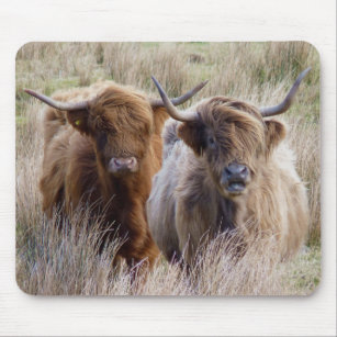 Scottish Highland Cows Mouse Mat
