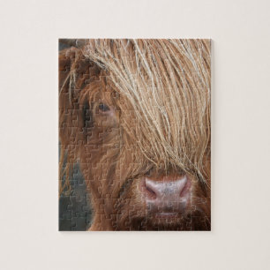 Scottish Highland Cows - Scotland Jigsaw Puzzle