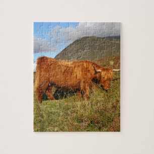 Scottish Highland Cows - Scotland Jigsaw Puzzle