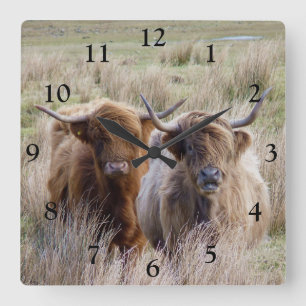 Scottish Highland Cows Square Wall Clock