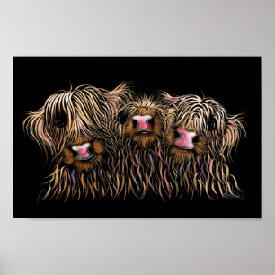 SCoTTiSH HigHLaND CoWS ' THe McDouGHNuTS ' Poster