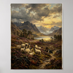 Scottish Highland Sheep Painting I Poster