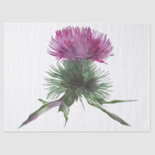 Scottish Highland Thistle Watercolor Tissue Paper