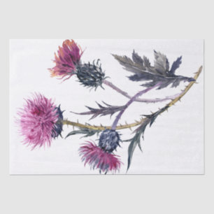 Scottish Highland Thistle Watercolor Tissue Paper