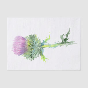 Scottish Highland Thistle Watercolor Tissue Paper