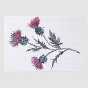 Scottish Highland Thistle Watercolor Tissue Paper