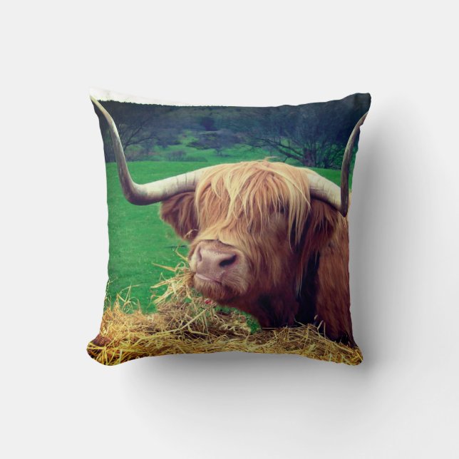 Scottish Highlander Cow Cushion (Front)