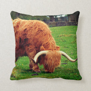 Scottish Highlander Cow Cushion