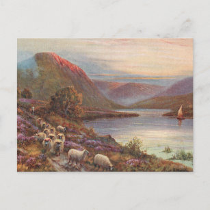 Scottish Highlands Lake Postcard