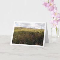 Scottish Highlands Landscape