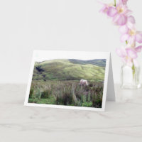 Scottish Highlands Landscape