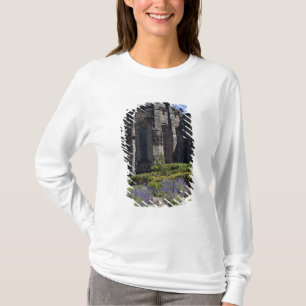Scottish National War Memorial, Edinburgh T-Shirt