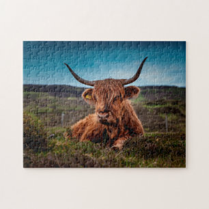 Scottish Oxen. Jigsaw Puzzle