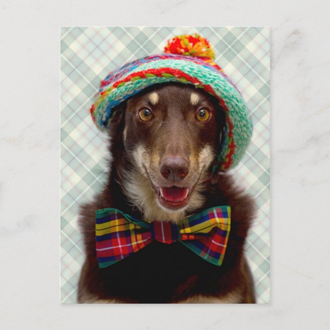 Scottish Postcard (Front)