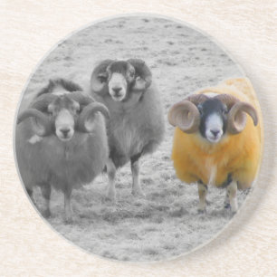 Scottish Rams Coaster