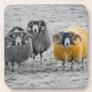 Scottish Rams Coaster