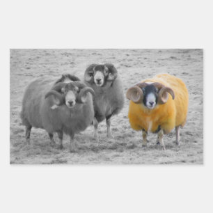Scottish Rams Rectangular Sticker