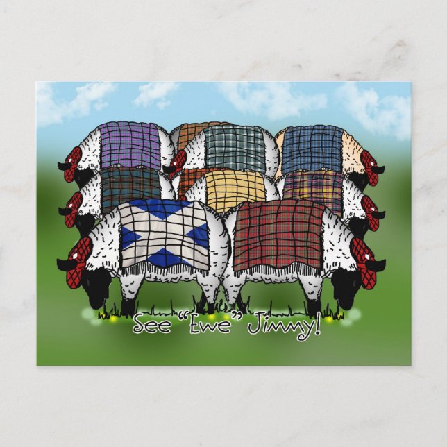 Scottish Sheep Postcard - See Ewe Jimmy (Front)