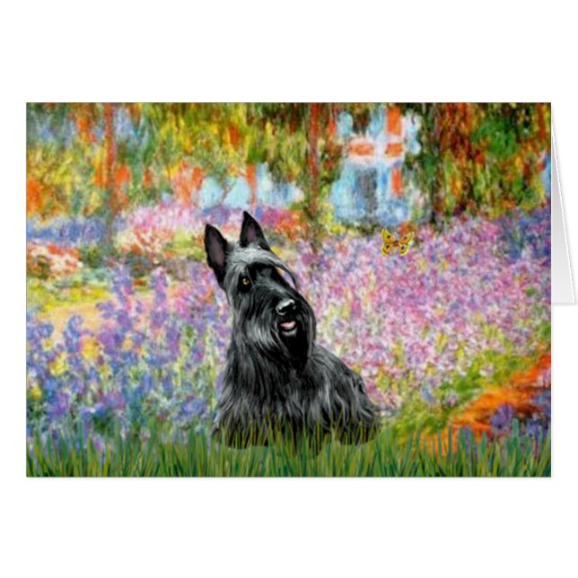 Scottish Terrier 2 - Garden (Front Horizontal)