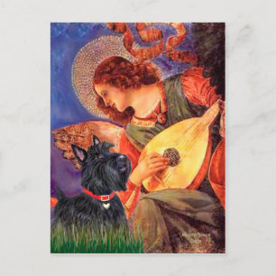 Scottish Terrier 6 - Mandolin Angel Postcard