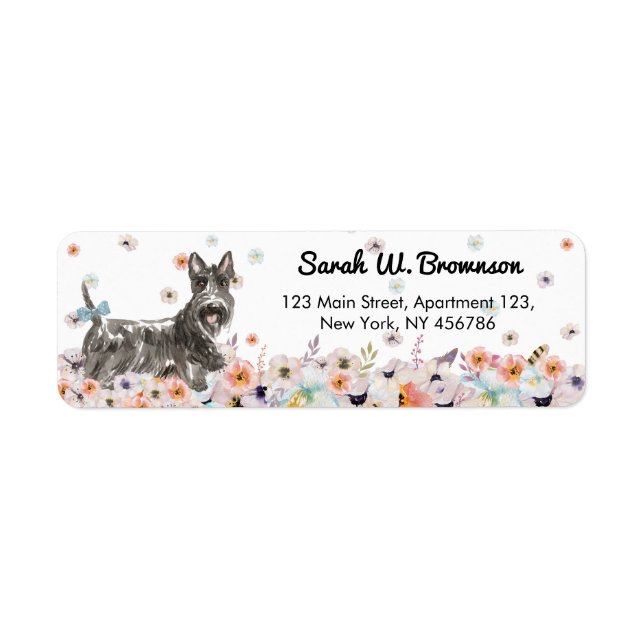 Scottish Terrier Abeerdenie Dog (Front)