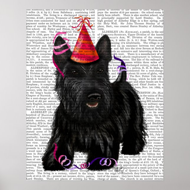 Scottish Terrier and Party Hat Poster (Front)