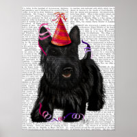 Scottish Terrier and Party Hat