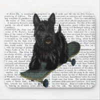 Scottish Terrier and Skateboard